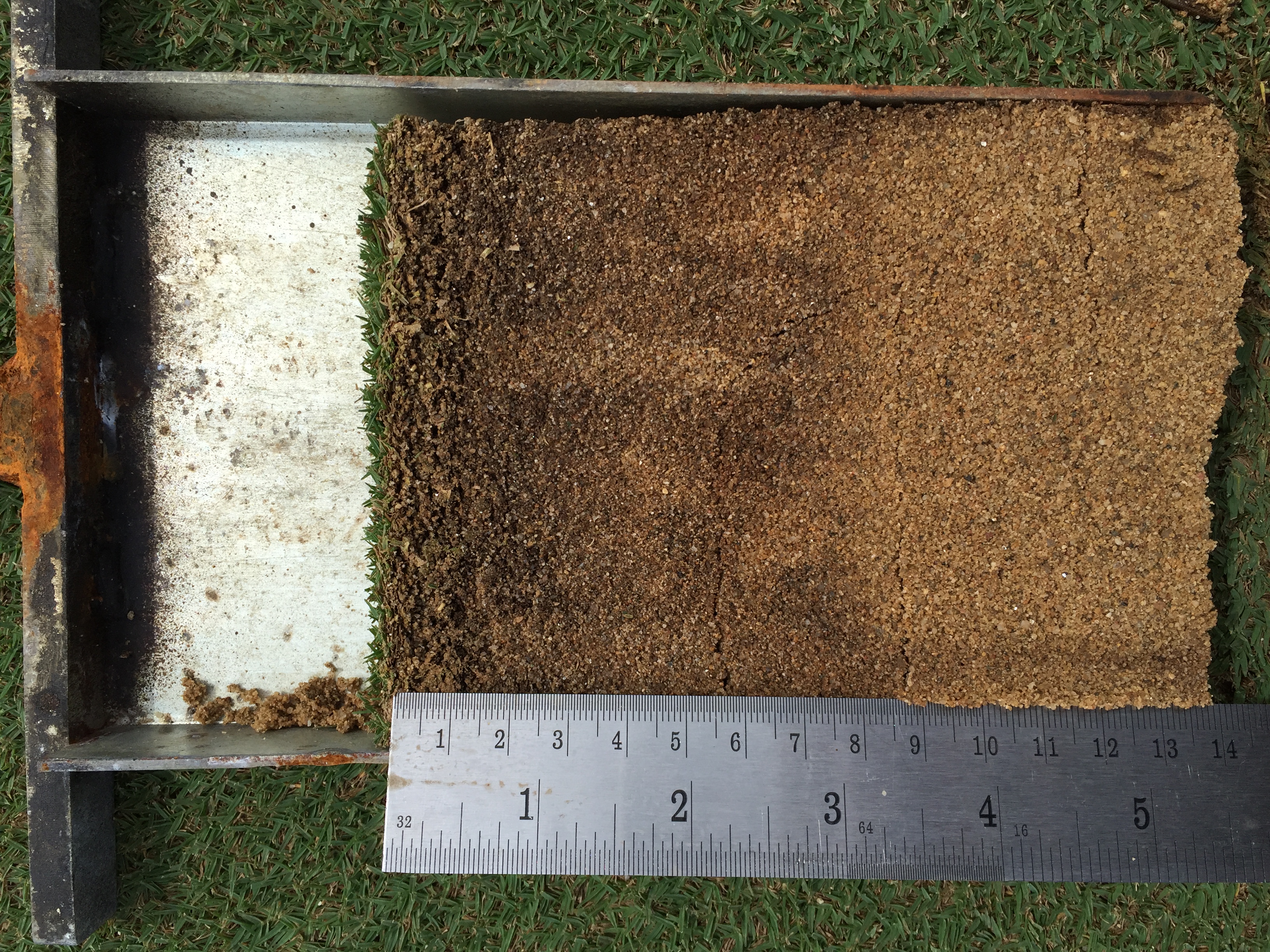 Greens soil profile